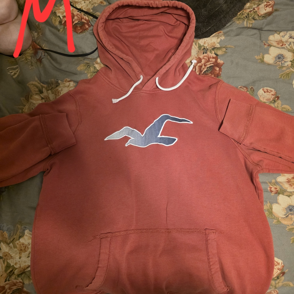 Hollister Red Sweater with Iconic Logo